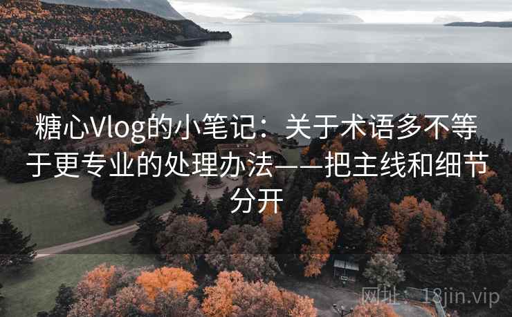 糖心Vlog的小笔记：关于术语多不等于更专业的处理办法——把主线和细节分开