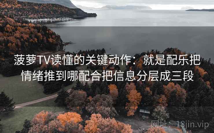 菠萝TV读懂的关键动作：就是配乐把情绪推到哪配合把信息分层成三段
